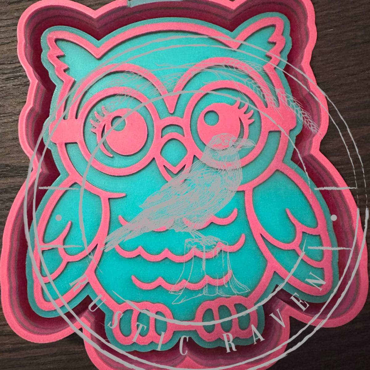 #466 Owl Glasses freshie mold exclusive
