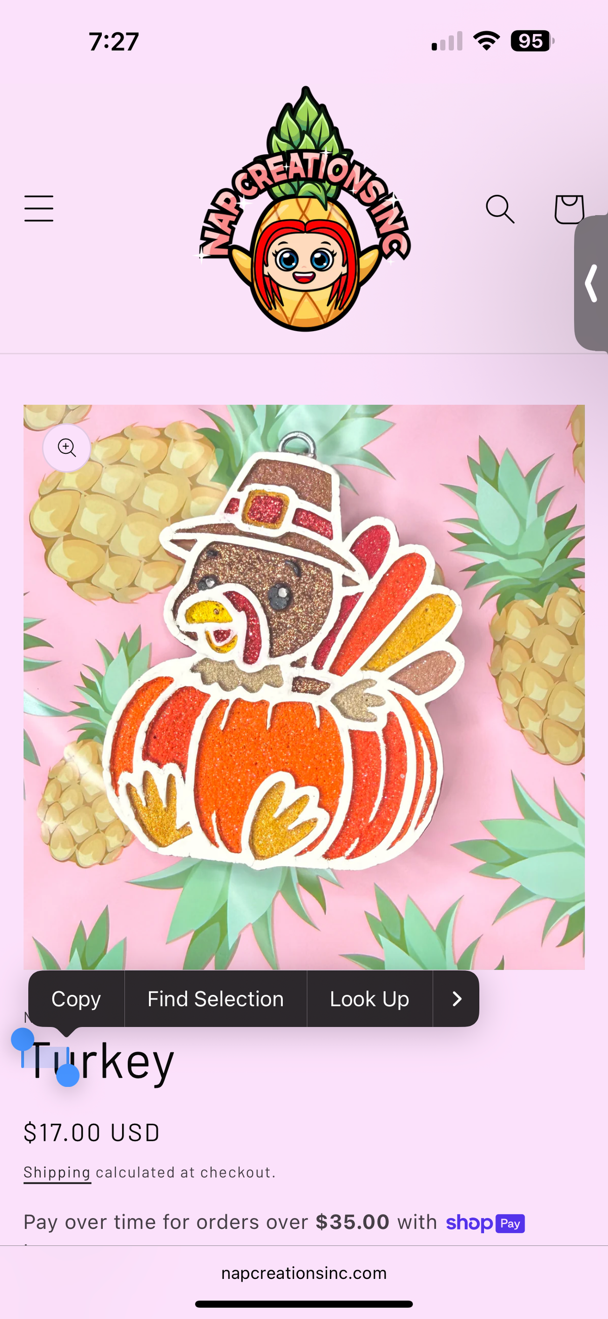 #6 Thanksgiving Turkey Pumpkin Freshie Mold Exclusive